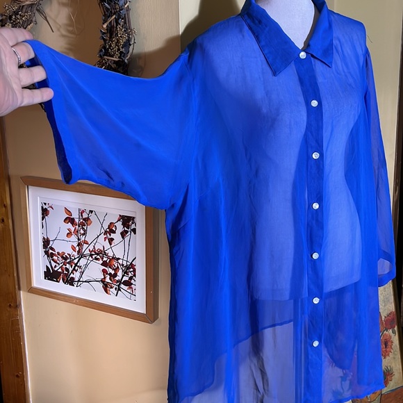Vintage ROMANS Size 2X Blue Transparent Chiffon ButtonFront Blouse Layering Top - Picture 2 of 8